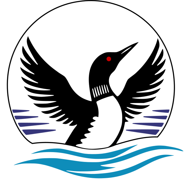 Loon Technology Group